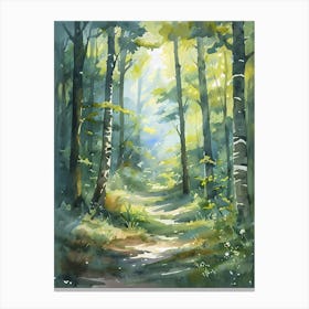 Watercolor Of A Forest Path 2 Canvas Print