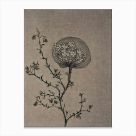 Chinese Flower 1 Canvas Print