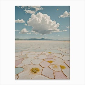 Salt Flats Canvas Print