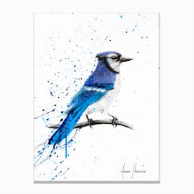 Blue Jay Sunday Canvas Print