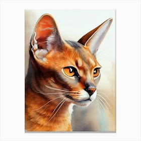 Abyssinian Cat animal Canvas Print
