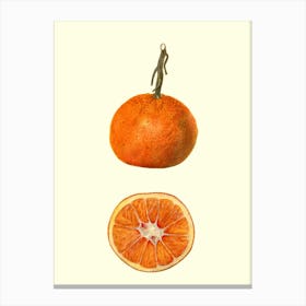 Oranges Canvas Print