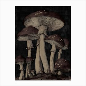 Forest Of Mushrooms Canvas Print