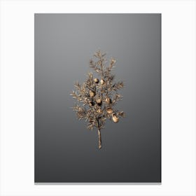 Gold Botanical Common Juniper on Soft Gray n.4511 Canvas Print