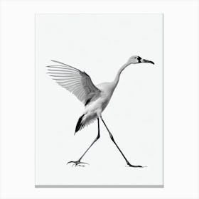 Greater Flamingo B&W Pencil Drawing 3 Bird Canvas Print