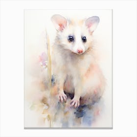 Light Watercolor Painting Of A Posing Possum 2 Canvas Print