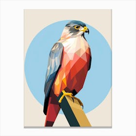 Colourful Geometric Bird Eurasian Sparrowhawk Canvas Print