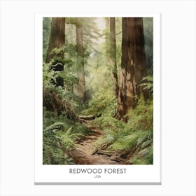 Redwood Forest 3 Watercolour Travel Poster Canvas Print
