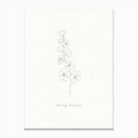 Cherry Blossom Line Drawing Canvas Print