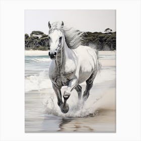 A Horse Oil Painting In Whitehaven Beach, Australia, Portrait 2 Canvas Print