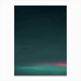 Sunset At Night Canvas Print