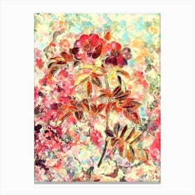 Impressionist Shining Rosa Lucida Botanical Painting in Blush Pink and Gold Canvas Print