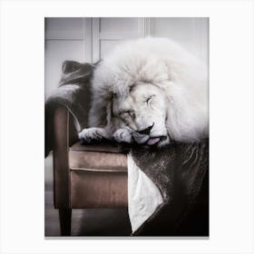 White Lion Sleeping On Sofa 1 Canvas Print