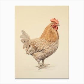 Vintage Bird Drawing Chicken 1 Canvas Print