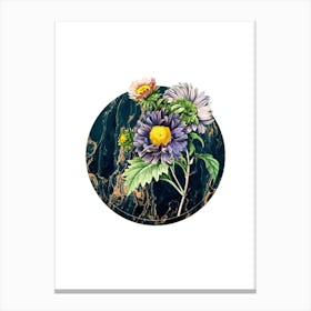 Vintage China Aster Botanical in Gilded Marble on Clean White Canvas Print