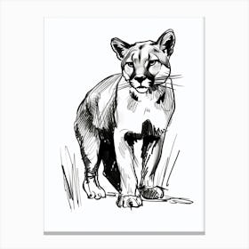 B&W Cougar Canvas Print