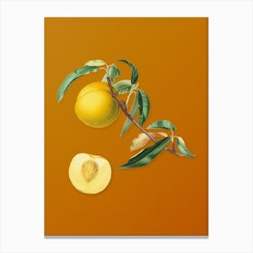 Vintage Peach Botanical on Sunset Orange n.0325 Canvas Print