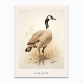 Vintage Bird Drawing Canada Goose 3 Poster Canvas Print