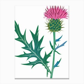 Thistle 1 Canvas Print