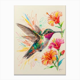 Hummingbird 22 Canvas Print