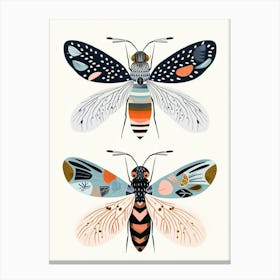 Colourful Insect Illustration Fly 11 Canvas Print