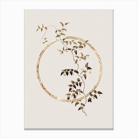 Gold Ring Bridal Creeper Glitter Botanical Illustration n.0119 Canvas Print