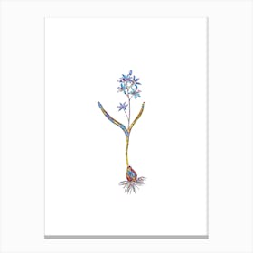 Stained Glass Alpine Squill Mosaic Botanical Illustration on White n.0219 Canvas Print