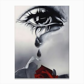 Tear In My Eye Canvas Print