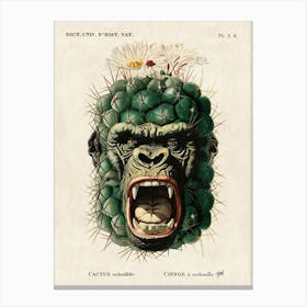 Kactus Kong Canvas Print