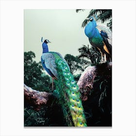 Peacocks In The Jungle Canvas Print