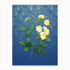 Vintage Lady Banks' Rose Botanical on Bahama Blue Pattern n.0711 Canvas Print