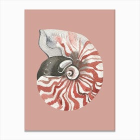 Nautilus Shell 2 Canvas Print