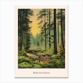 Bialowieza Forest Canvas Print