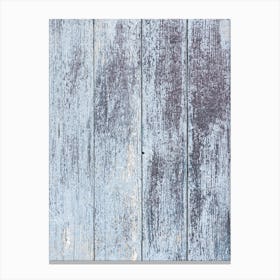 Old Wooden Planks Canvas Print