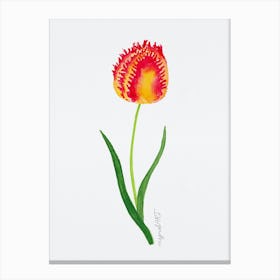 Tulip2 Canvas Print