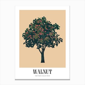 Walnut Tree Colourful Illustration 3 Poster Canvas Print