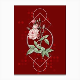 Vintage Common Rose of India Botanical with Geometric Line Motif and Dot Pattern n.0167 Canvas Print