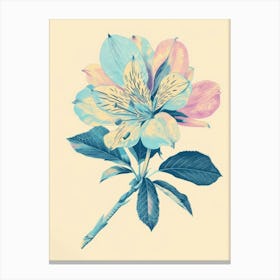 Hibiscus 5 Canvas Print