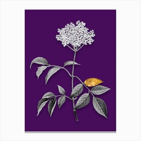 Vintage Elderflower Tree Black and White Gold Leaf Floral Art on Deep Violet n.0988 Canvas Print