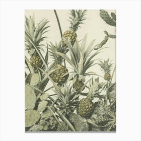 Pineapples And Cactus Canvas Print