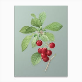 Vintage Cherry Botanical Art on Mint Green Canvas Print