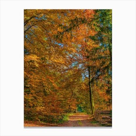 Autumn Colour In The Forest Woods Canvas Print