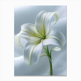 White Lily 2 Canvas Print