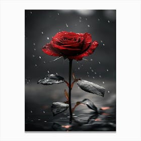 Red Rose In The Rain 1 Canvas Print