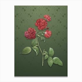 Vintage Red Cabbage Rose in Bloom Botanical on Lunar Green Pattern n.2392 Canvas Print
