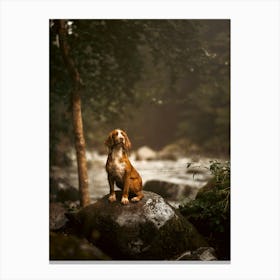 Cocker Spaniel By The River- Scotland Highland UK dog photo print - moody animal photography Canvas Print