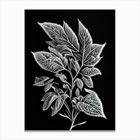 Oregano Leaf Linocut 3 Canvas Print