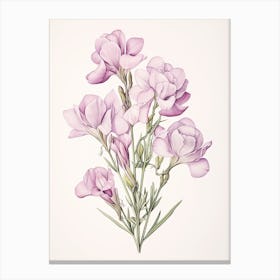 Freesias Flower Vintage Botanical 2 Canvas Print