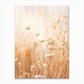 Boho Dried Flowers Forget Me Not 1 Canvas Print