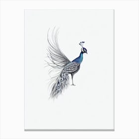 Peacock B&W Pencil Drawing 2 Bird Canvas Print